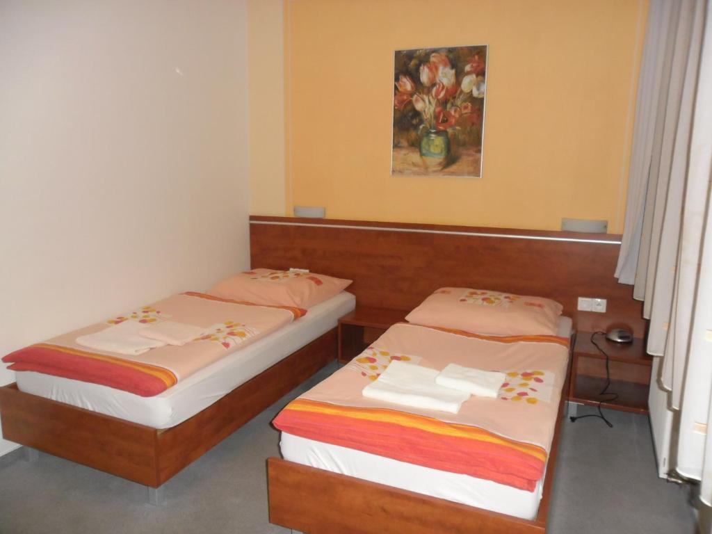 RED DEER Hotel Brezno Kamer foto